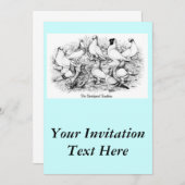 De kortharige tuimelduiven kaart (Voorkant / Achterkant)