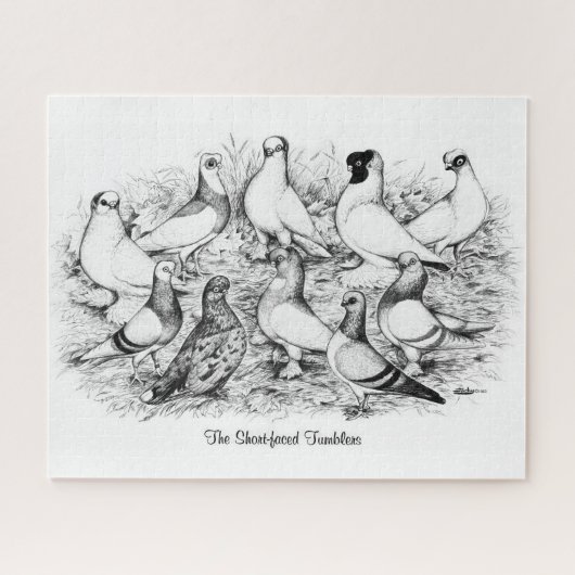 De kortharige tuimelduiven legpuzzel (Horizontaal)