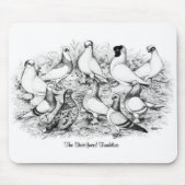 De kortharige tuimelduiven muismat (Voorkant)