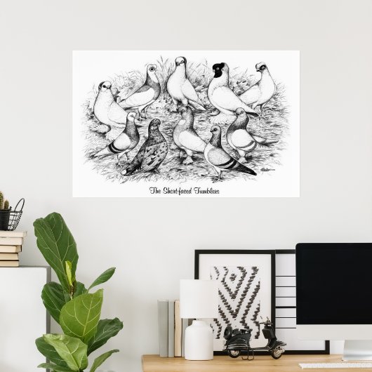 De kortharige tuimelduiven poster (Thuiskantoor)