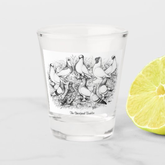 De kortharige tuimelduiven shot glas (Voorkant)
