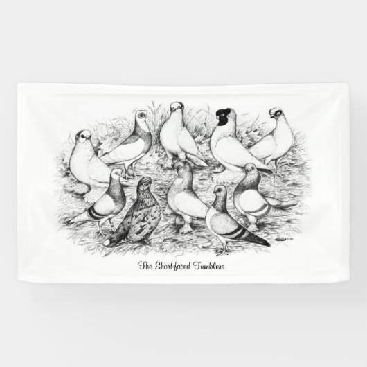 De kortharige tuimelduiven spandoek (Horizontaal)
