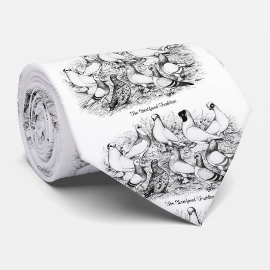 De kortharige tuimelduiven stropdas (Opgerold)