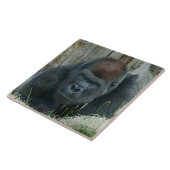 De koude tijd van Gorilla Lope Tegeltje (Zijkant)