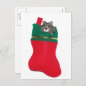 De kous van Kerstmis van de hamster Feestdagenkaart (Voorkant / Achterkant)