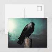 De kraai briefkaart (Voorkant / Achterkant)