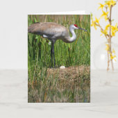 De Kraan van Sandhill & de notakaart van het Ei Kaart (Gele Bloem)