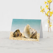 De krab die van de kluizenaar grotere shell kaart (Gele Bloem)