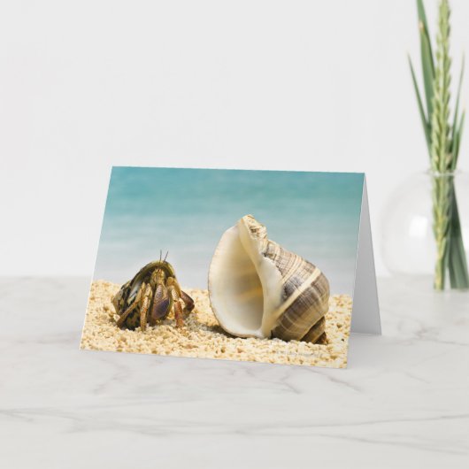 De krab die van de kluizenaar grotere shell kaart (Voorkant)