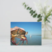 De krab en de zeilboot, postkaart (Staand voorkant)