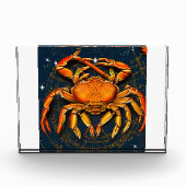 De krab fotoblokken (Voorkant)
