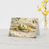 De Krab van het zand, Curacao, Caraïbische Kaart (Gele Bloem)