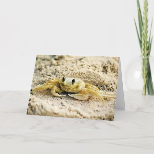 De Krab van het zand, Curacao, Caraïbische Kaart (Voorkant)