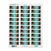 De Krabnevel Etiket (Full Sheet)
