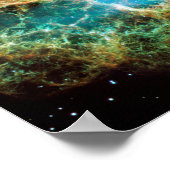 De Krabnevel Poster (Hoek)