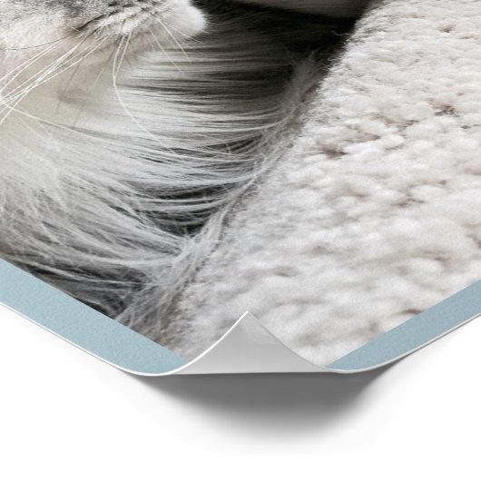 De kracht om positief Poster te denken (Hoek)