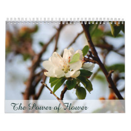 De Kracht van Bloem Kalender
