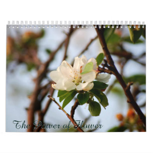 De Kracht van Bloemen Kalender