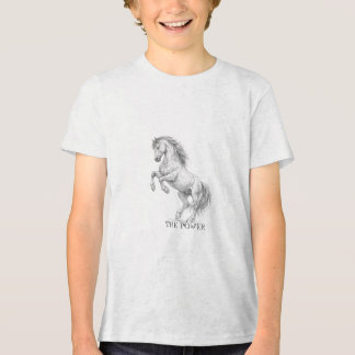 De Kracht van de Hengst | Majestueuze Paard Grafie Tri-Blend Shirt