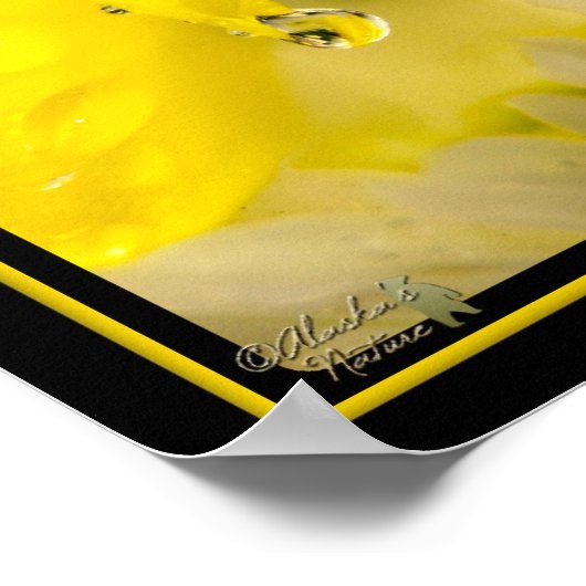 De kracht van één poster (Hoek)