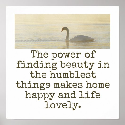 De kracht van het vinden van schoonheid - schoonhe poster (Voorkant)