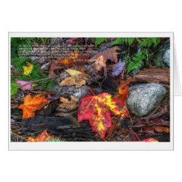 De kracht van poëzie