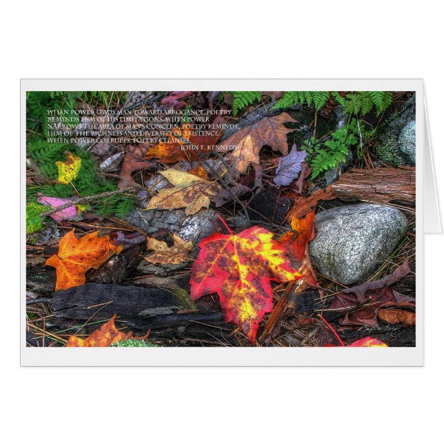 De kracht van poëzie (Voorkant Horizontaal)