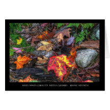 De kracht van poëzie