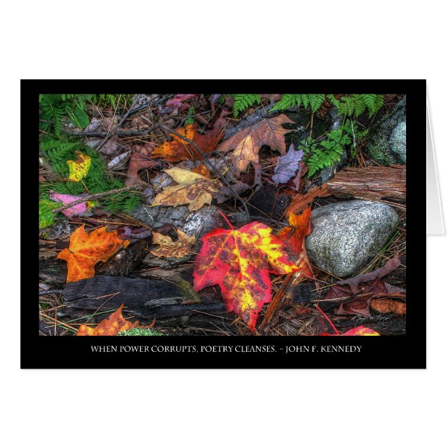 De kracht van poëzie (Voorkant Horizontaal)