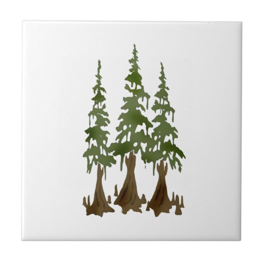 DE KRACHTIGE TEGELTJE (Voorkant)