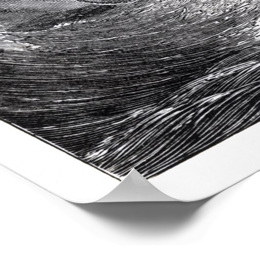 De Kraken Poster (Hoek)