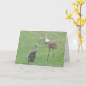 De Kranen van Sandhill Kaart (Gele Bloem)