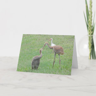 De Kranen van Sandhill Kaart