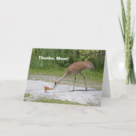 De Kranen van Sandhill van de Vogel van de moeder Kaart
