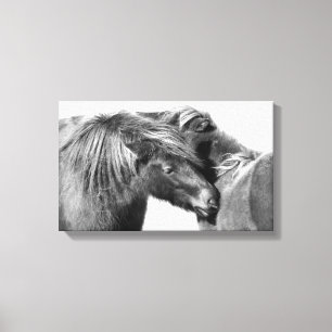 De Kras van poneys Canvas Afdruk