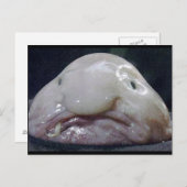 De kreeft briefkaart (Voorkant / Achterkant)