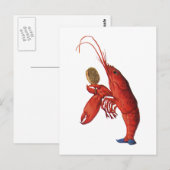 De kreeft Quadrille Briefkaart (Voorkant / Achterkant)