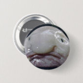 De kreeft ronde button 5,7 cm (Voorkant /achterkant)