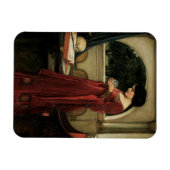 De Kristallen Bol van John William Waterhouse Magneet (Horizontaal)