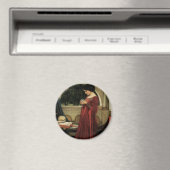 De Kristallen Bol van John William Waterhouse Magneet (Insitu (Vaatwasser))