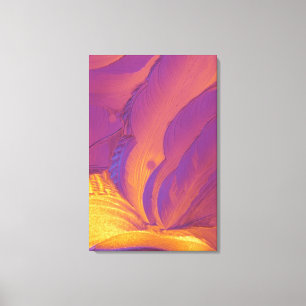 De Kristallen van het wijnsteenzuur Canvas Afdruk