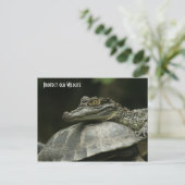 De krokodil en de schildpadkaart briefkaart (Staand voorkant)