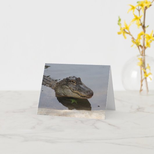 De krokodille Kaart van de Nota (Gele Bloem)