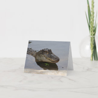 De krokodille Kaart van de Nota