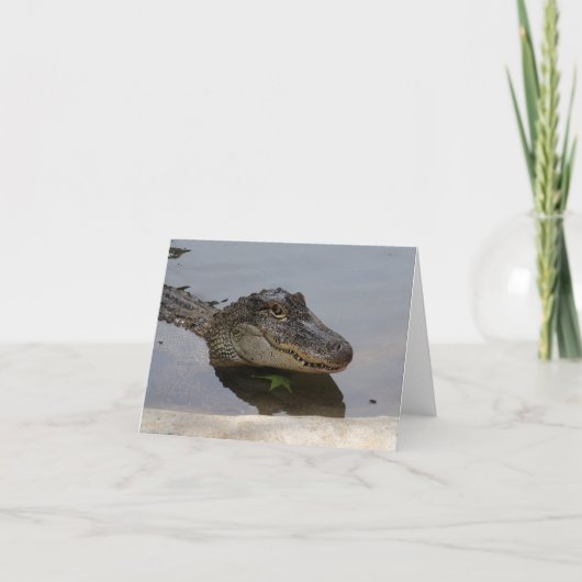De krokodille Kaart van de Nota (Voorkant)