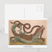 De krokodille  Zoologische Schets Briefkaart (Voorkant / Achterkant)