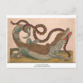 De krokodille  Zoologische Schets Briefkaart (Voorkant)