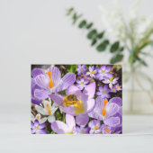 DE KROKUSPROEVERIJ ~ BRIEFKAART (Staand voorkant)