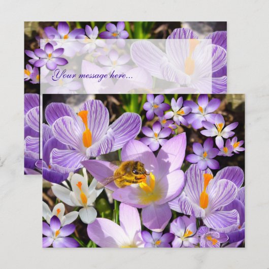 DE KROKUSPROEVERIJ ~ BRIEFKAART (Voorkant / Achterkant)