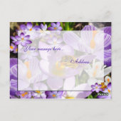 DE KROKUSPROEVERIJ ~ BRIEFKAART (Achterkant)